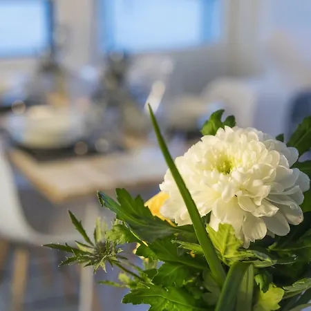 Vasko Luxurious Suites, Livo