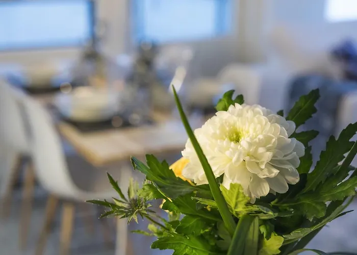 Vasko Luxurious Suites, Livo